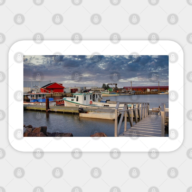 Chockpish Harbour Sticker by colorful